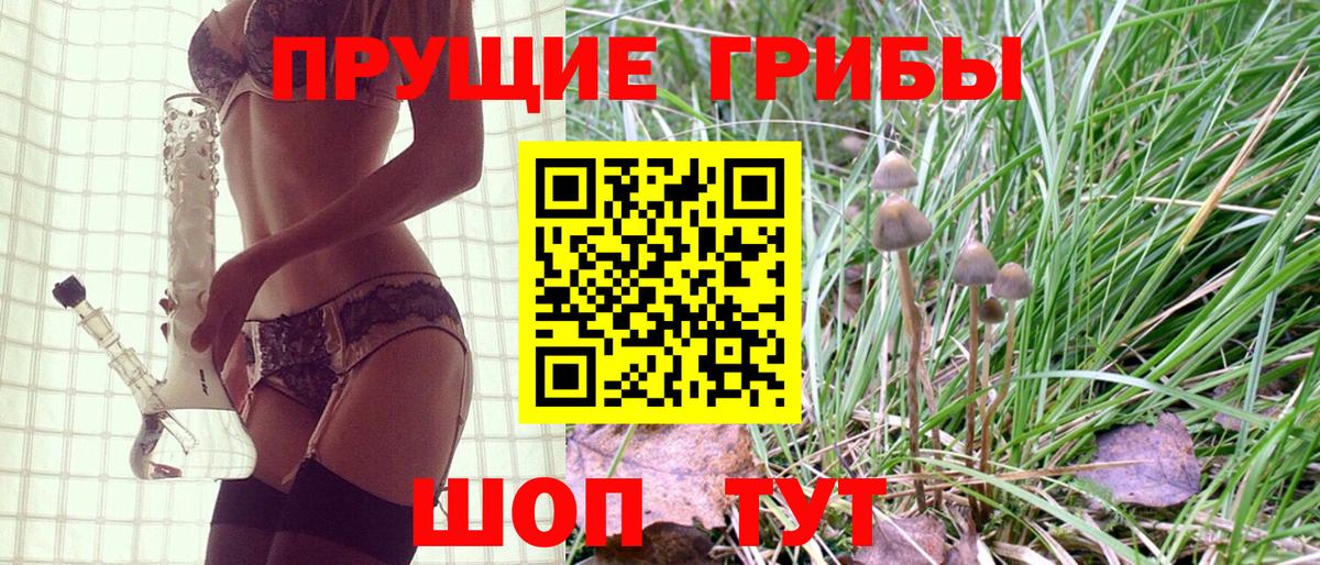 Галлюциногенные грибы Psilocybe Москва