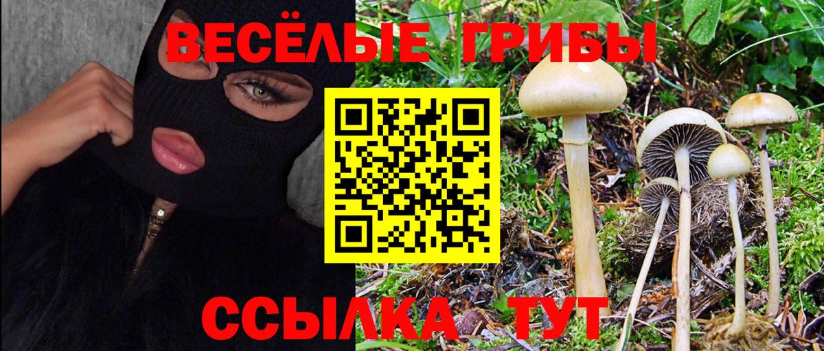Галлюциногенные грибы прущие грибы  Вход с VPN  Москва 